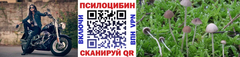 сколько стоит  Новошахтинск  Галлюциногенные грибы мицелий 